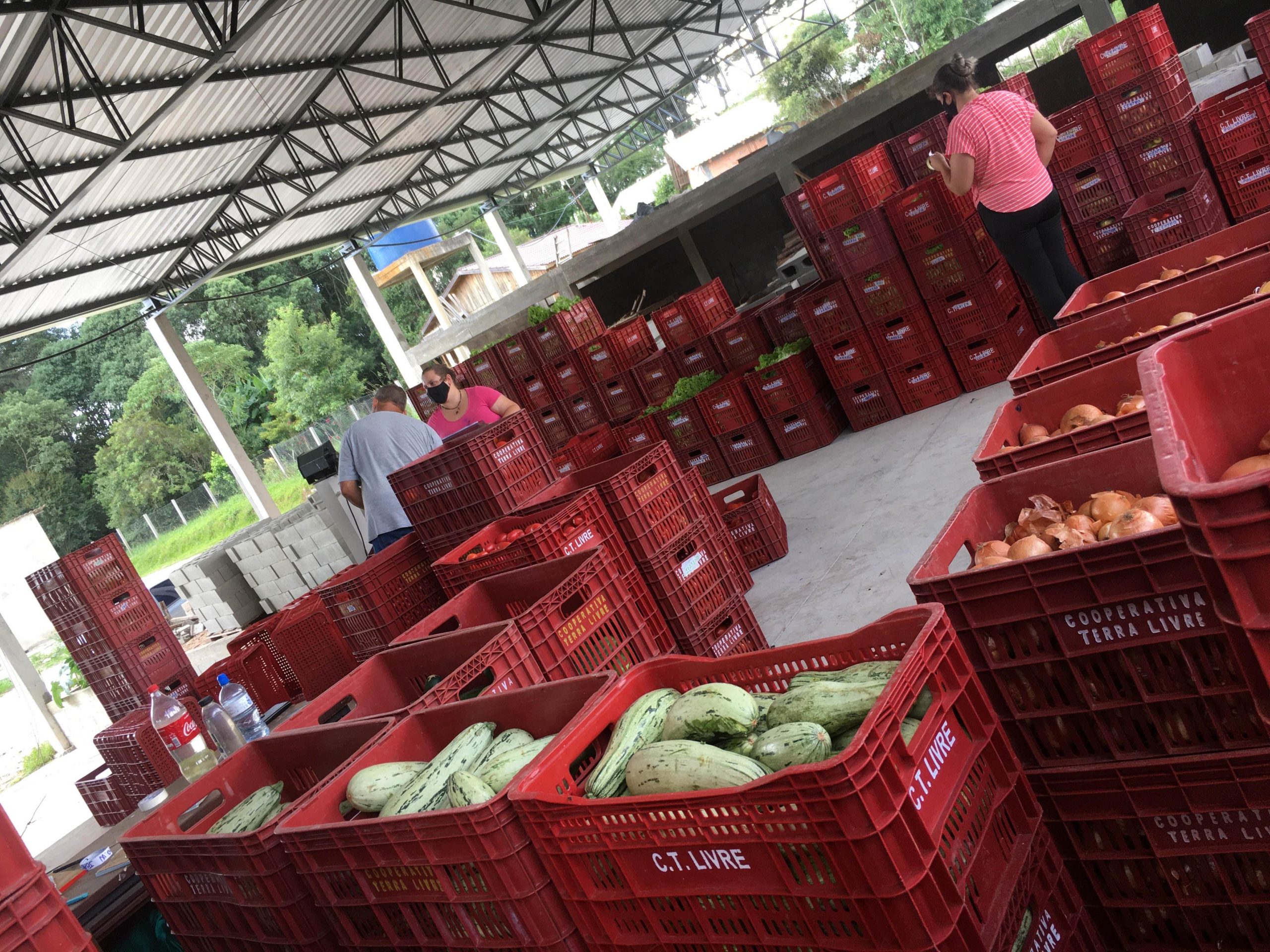 Hub for packing and distributing produce from the settlements to schools